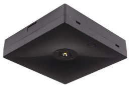 391 lm Anti-paniekverlichting zwart