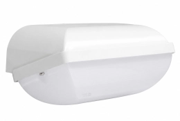 Ibiza 3CCT LED portiekarmatuur met noodunit | 3 uur