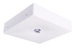 STARLET QUAD SO 150 CB vierkante opbouw-noodverlichtingsarmatuur