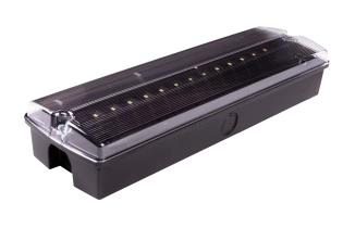 ORION II 250 CB zwart IP65-noodverlichtingsarmatuur