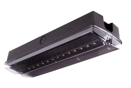 ORION II 250 CB zwart IP65-noodverlichtingsarmatuur